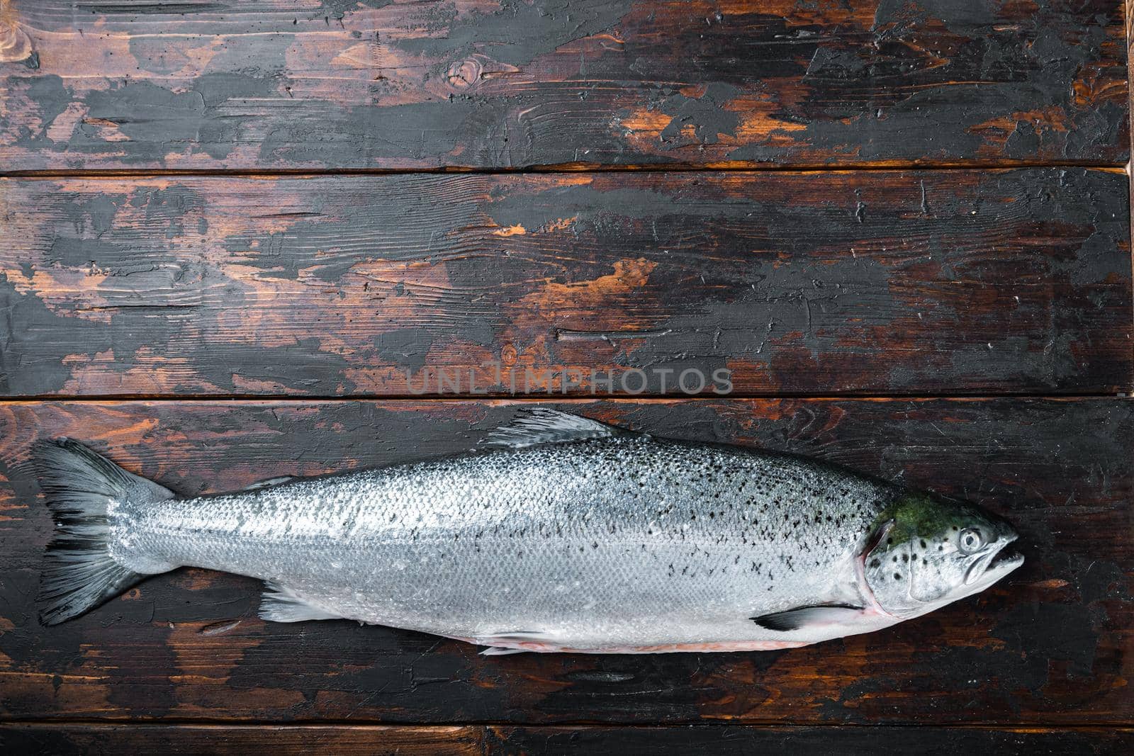 Whole raw salmon on wooden background, top view with space for text.
