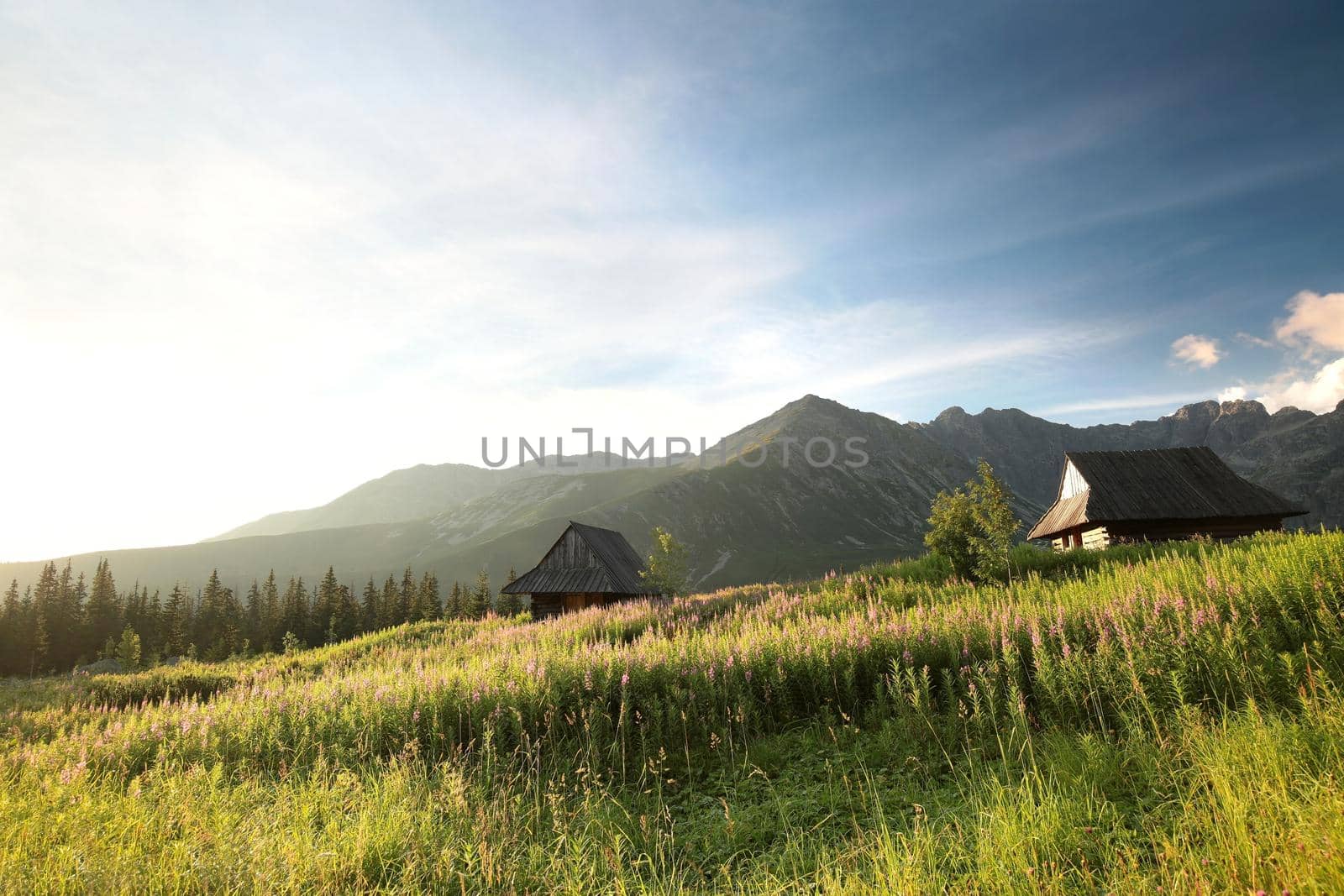 Historical shepherd's huts in the valley surrounded by Carpathian Mountains.