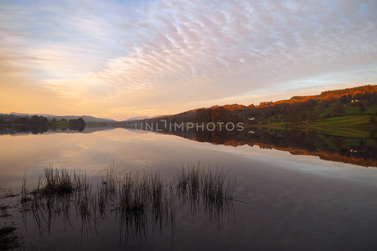 Dusk at Esthwaite Water and reflections of clouds in mackerel sky, Lake District by PhilHarland