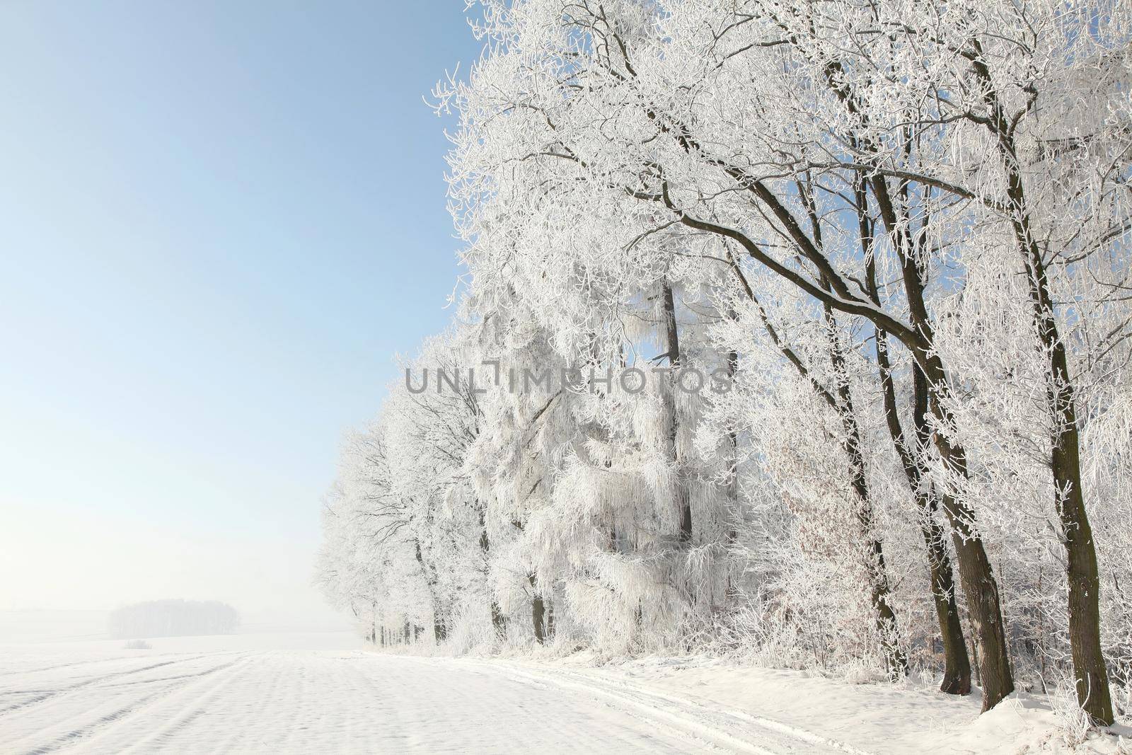 Winter landscape by nature78