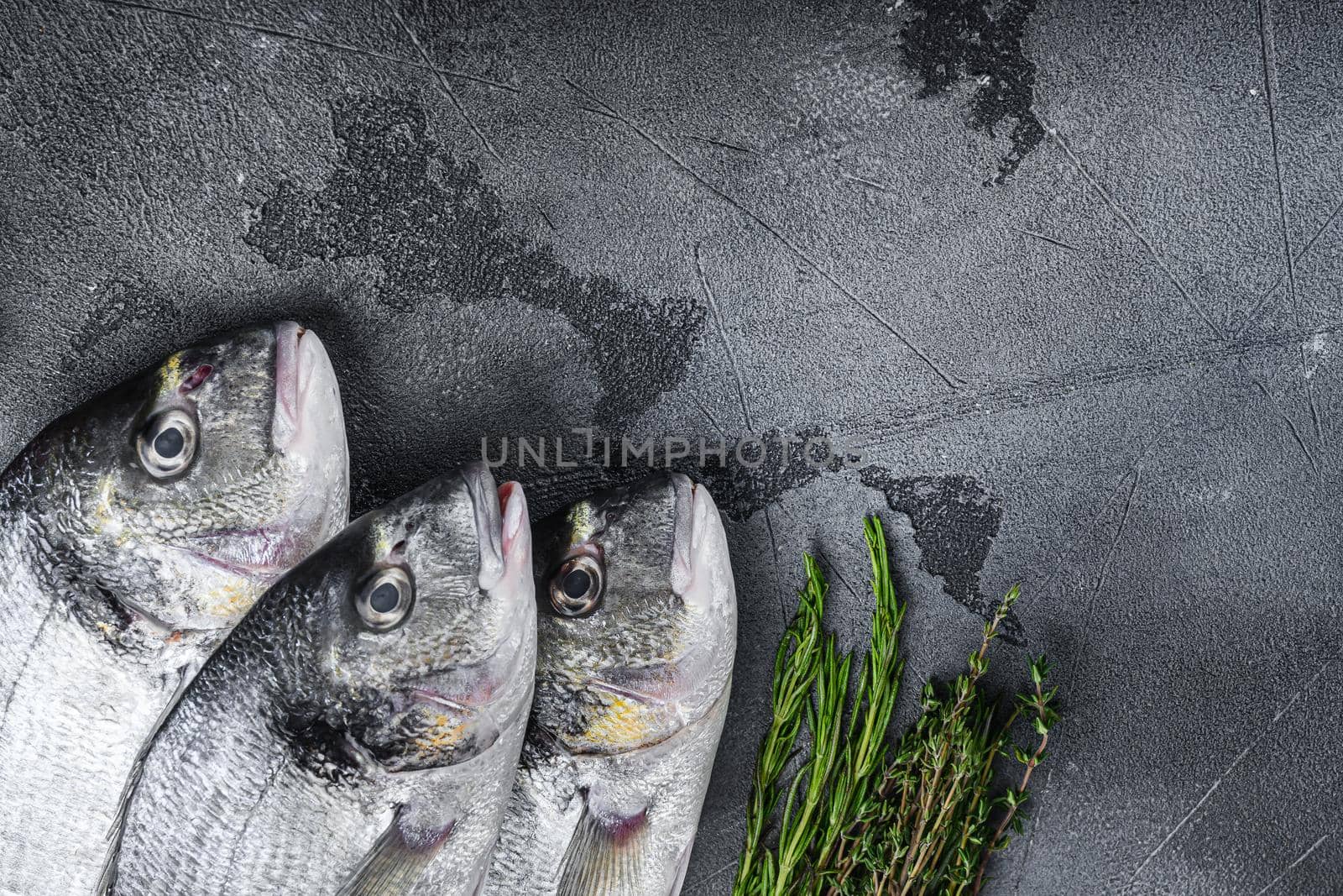 raw set of sea bream or Gilt head bream dorada fish with herbs pepper lime tomato for cooking and grill on grey textured background, side view with space for text