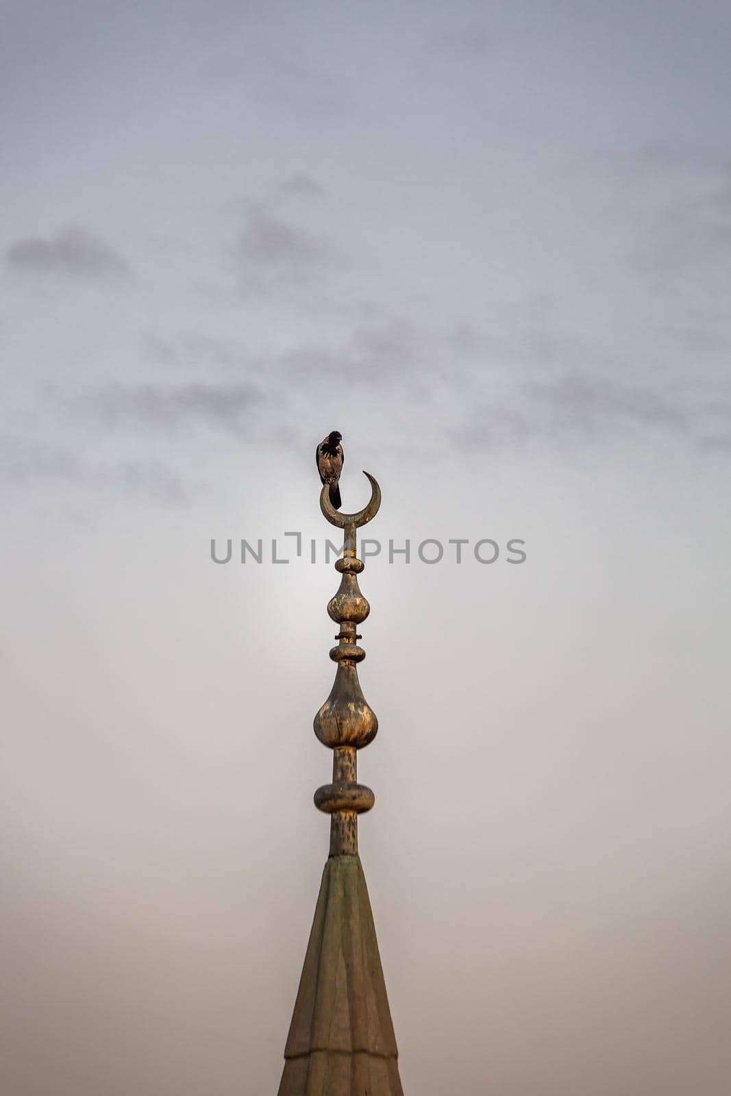 The Crow Sits On The Minaret In Istanbul, Turkey.