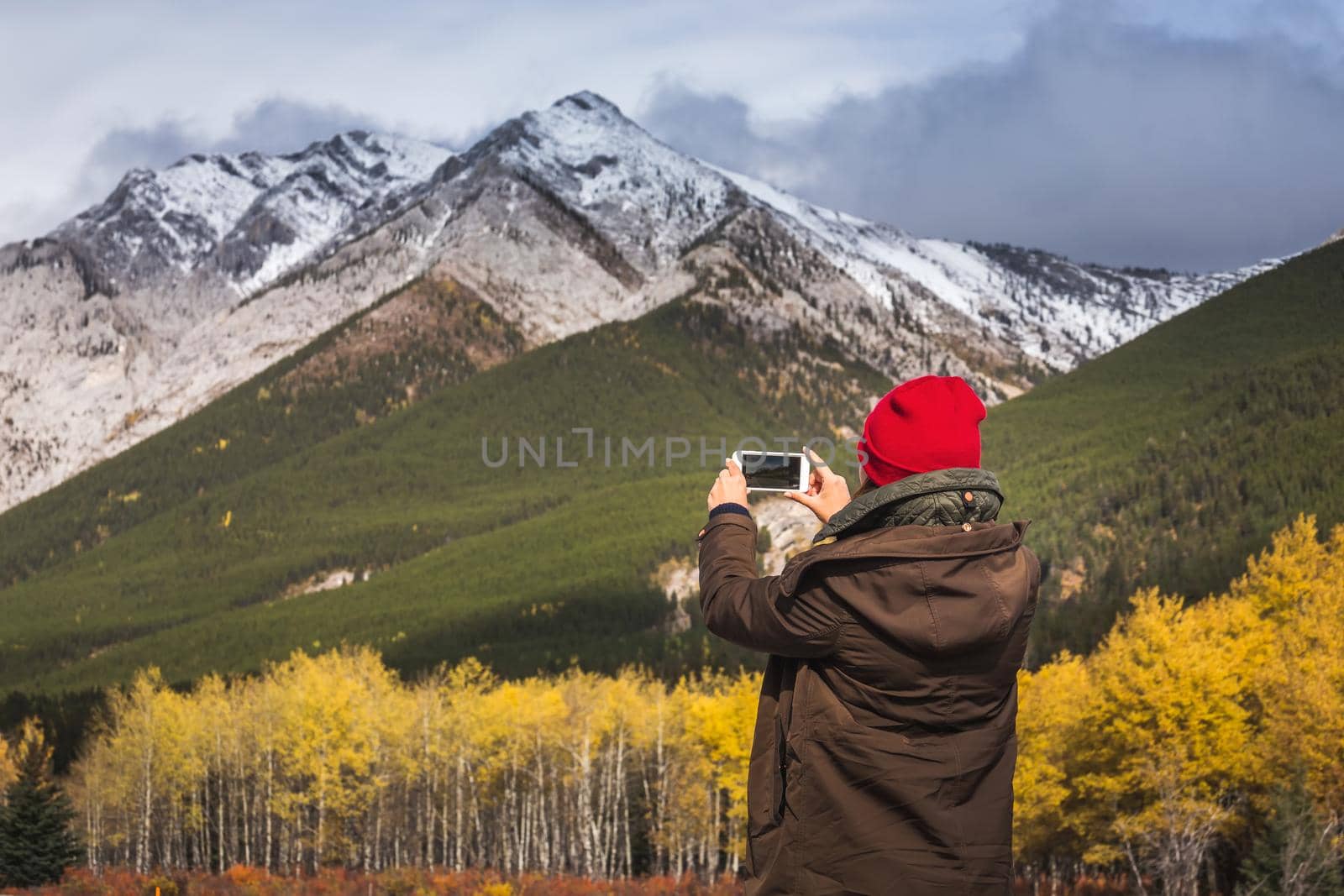 Pretty woman takes pictures on the smartphone of the yellow larches and snowy mountains at Kananaskis National Park, Canada.