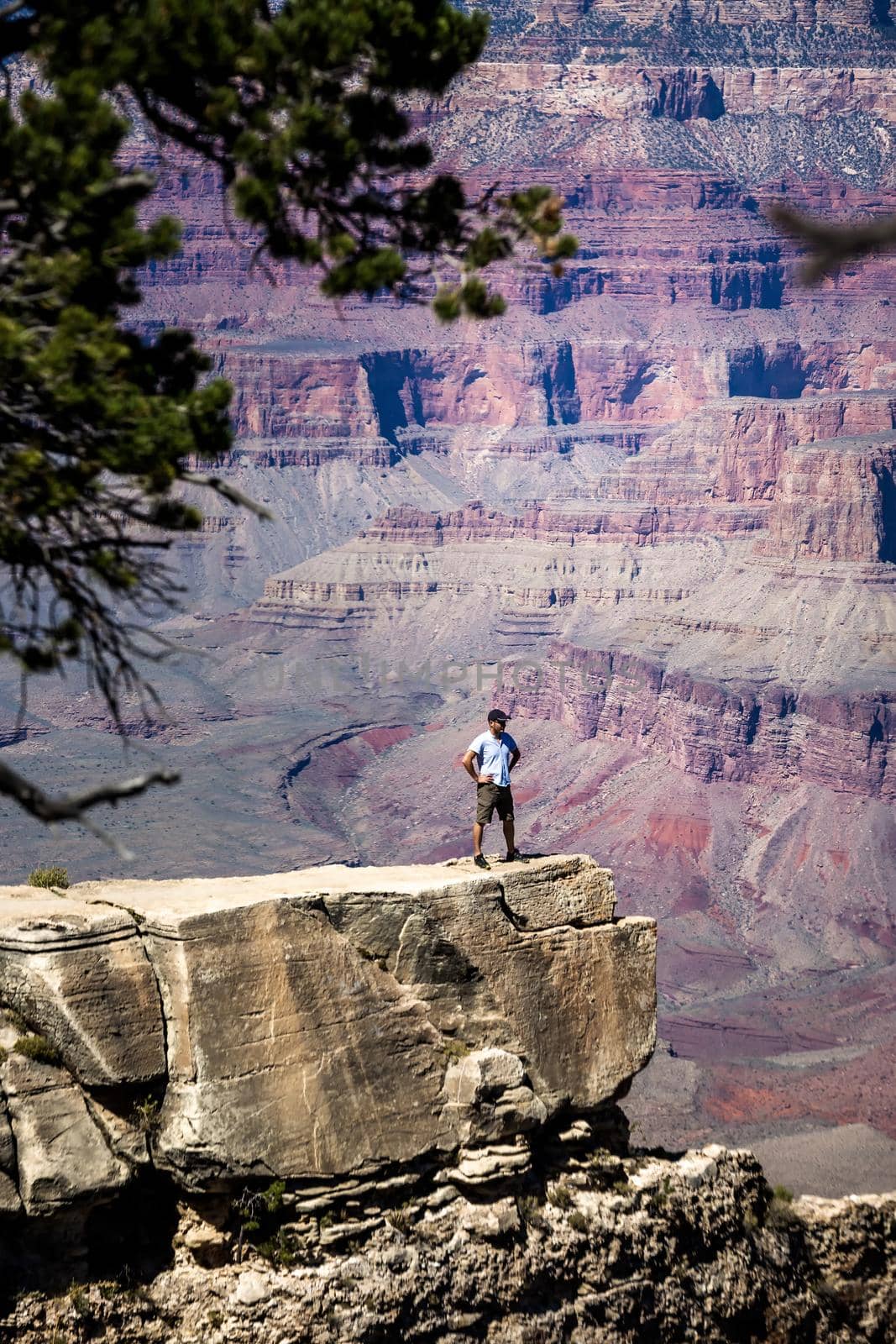 Brave male enjoys vantage point view on Grand Canyon Arizona, USA.