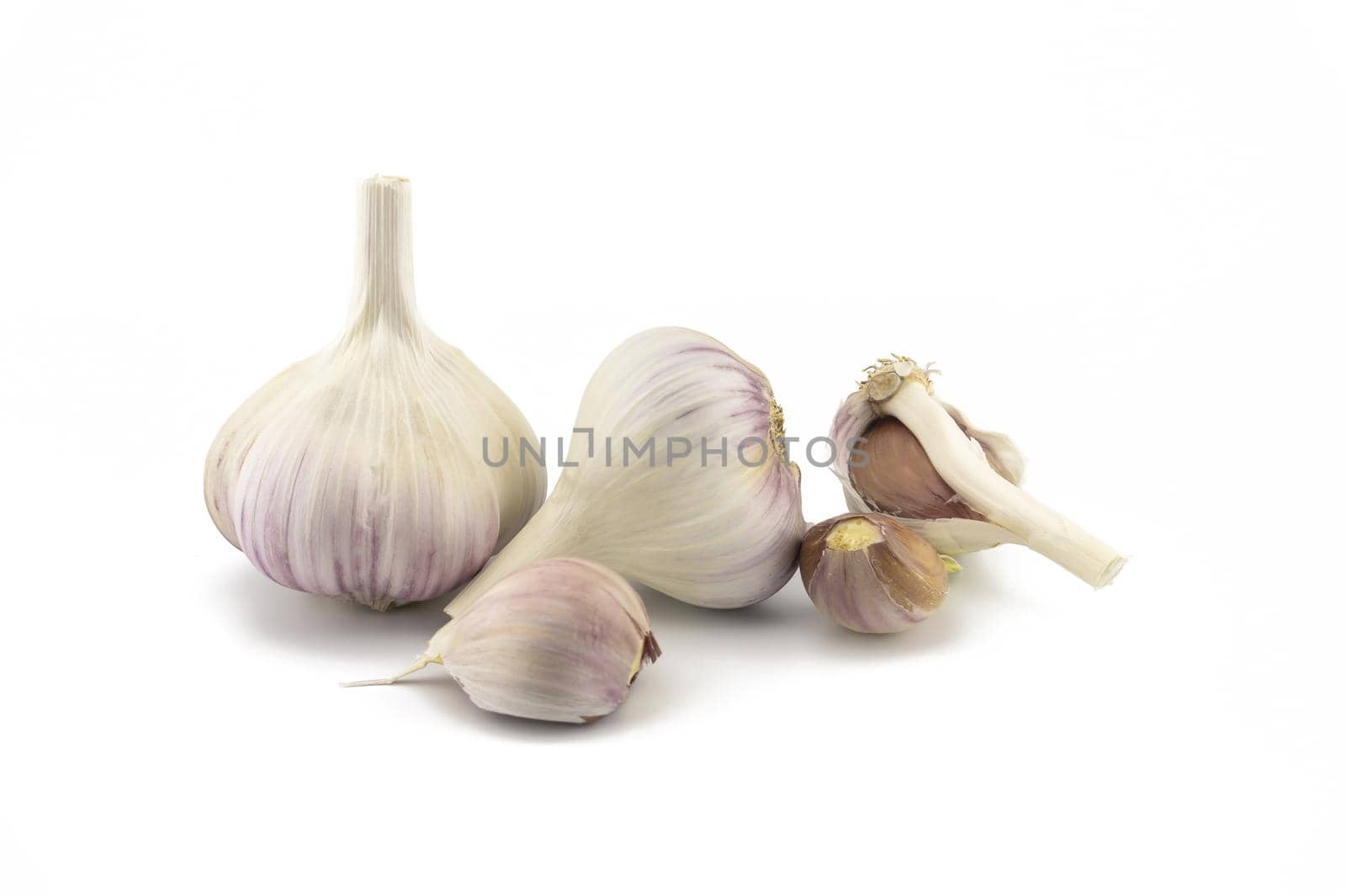 Garlic bulbs and cloves in close-up isolated on white background