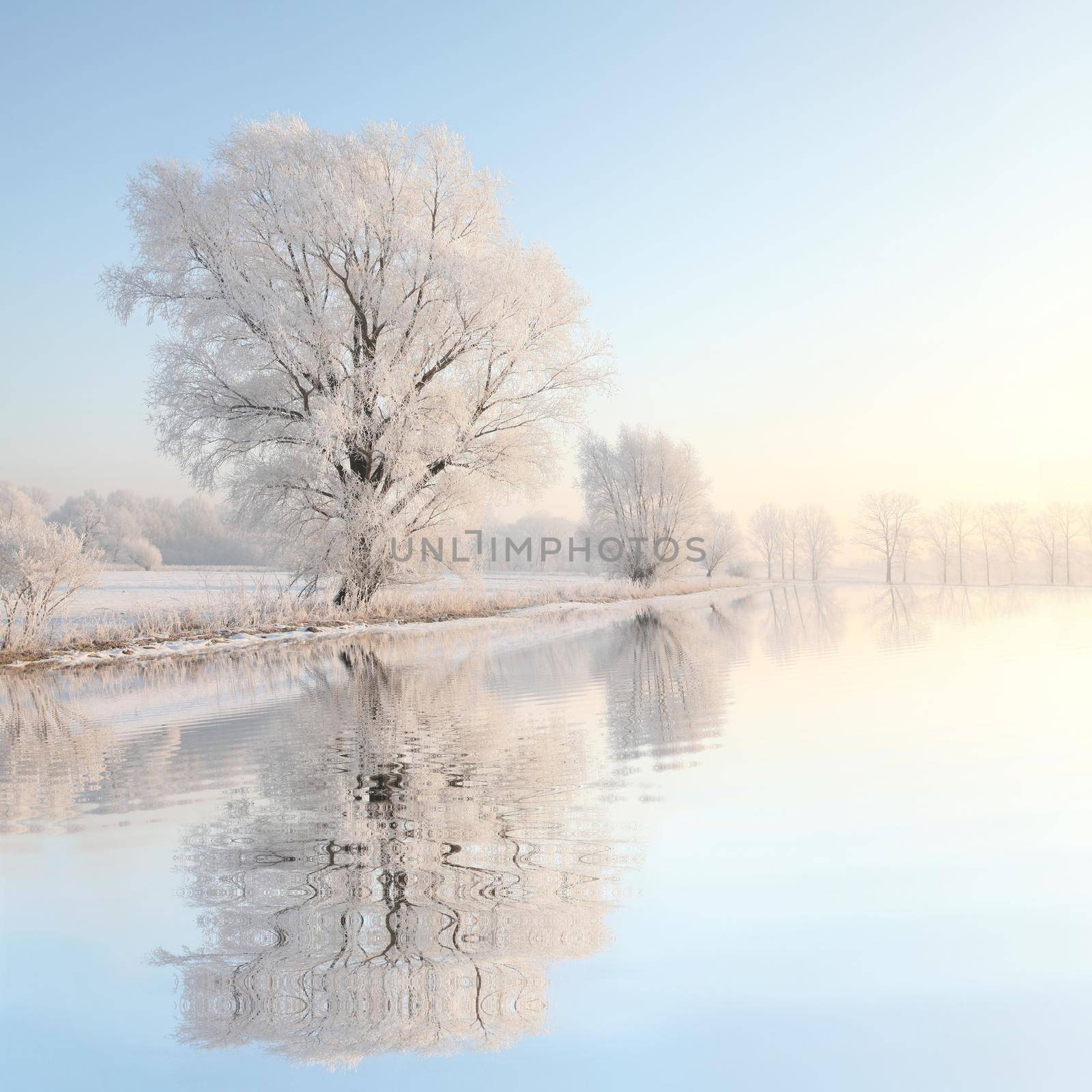 Winter landscape at sunrise by nature78