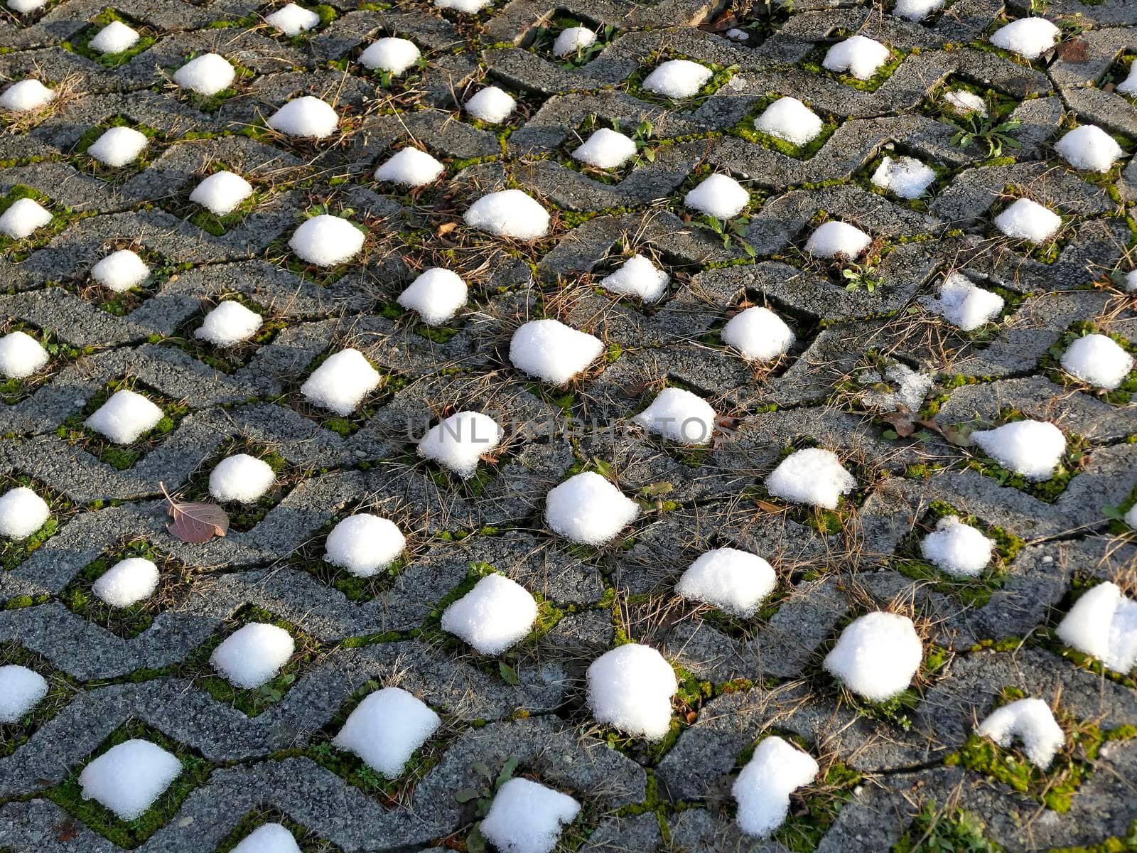 snow caps on grass pavers in winter in Germany