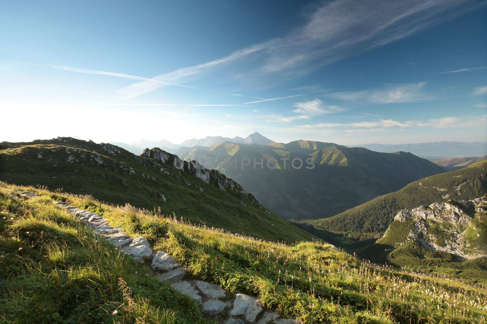 Trail in the Carpathian Mountains by nature78
