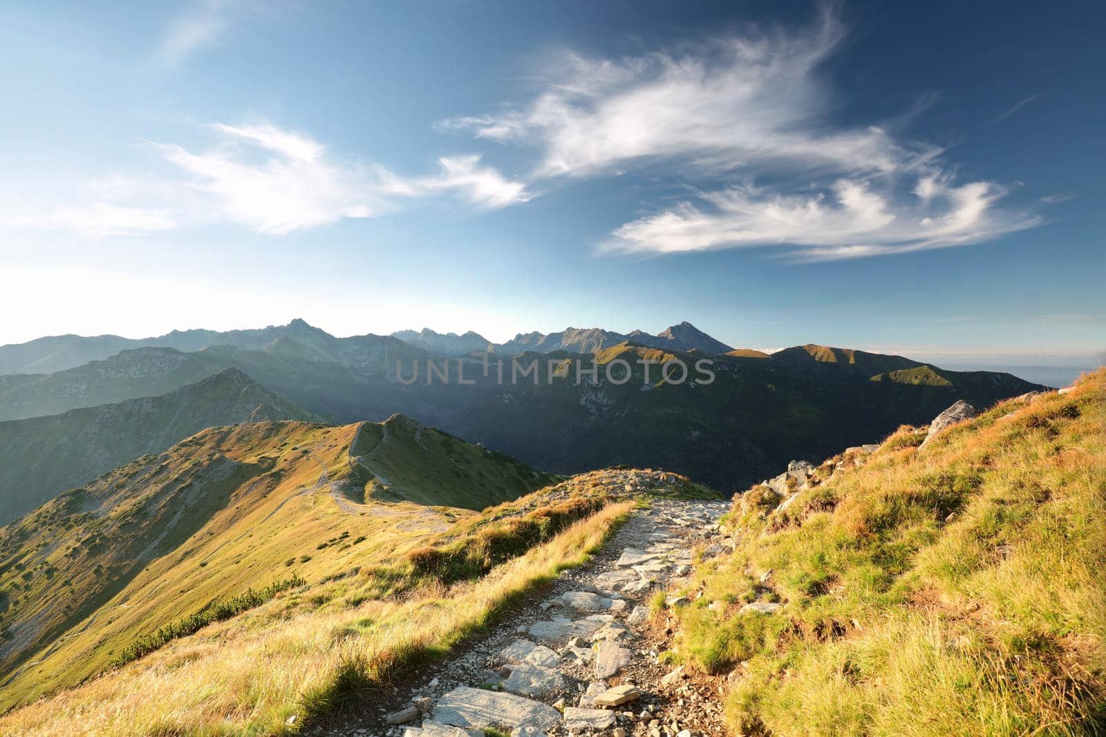 Trail in the Carpathian Mountains by nature78