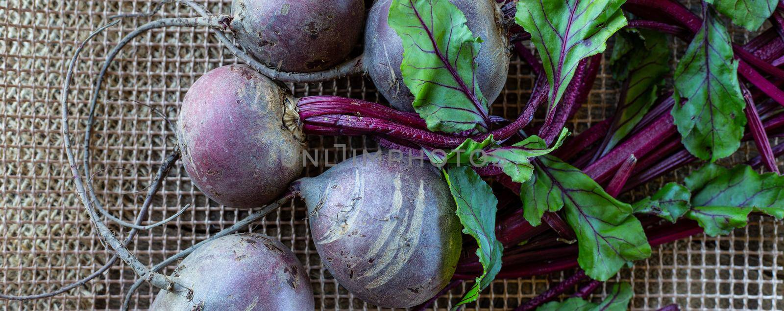 Beetroot vegetables. Horizontal flat lay on rustic kitchen with canvas bag