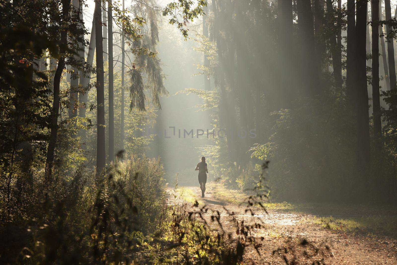 A man running across a forest trail on a foggy autumn morning.