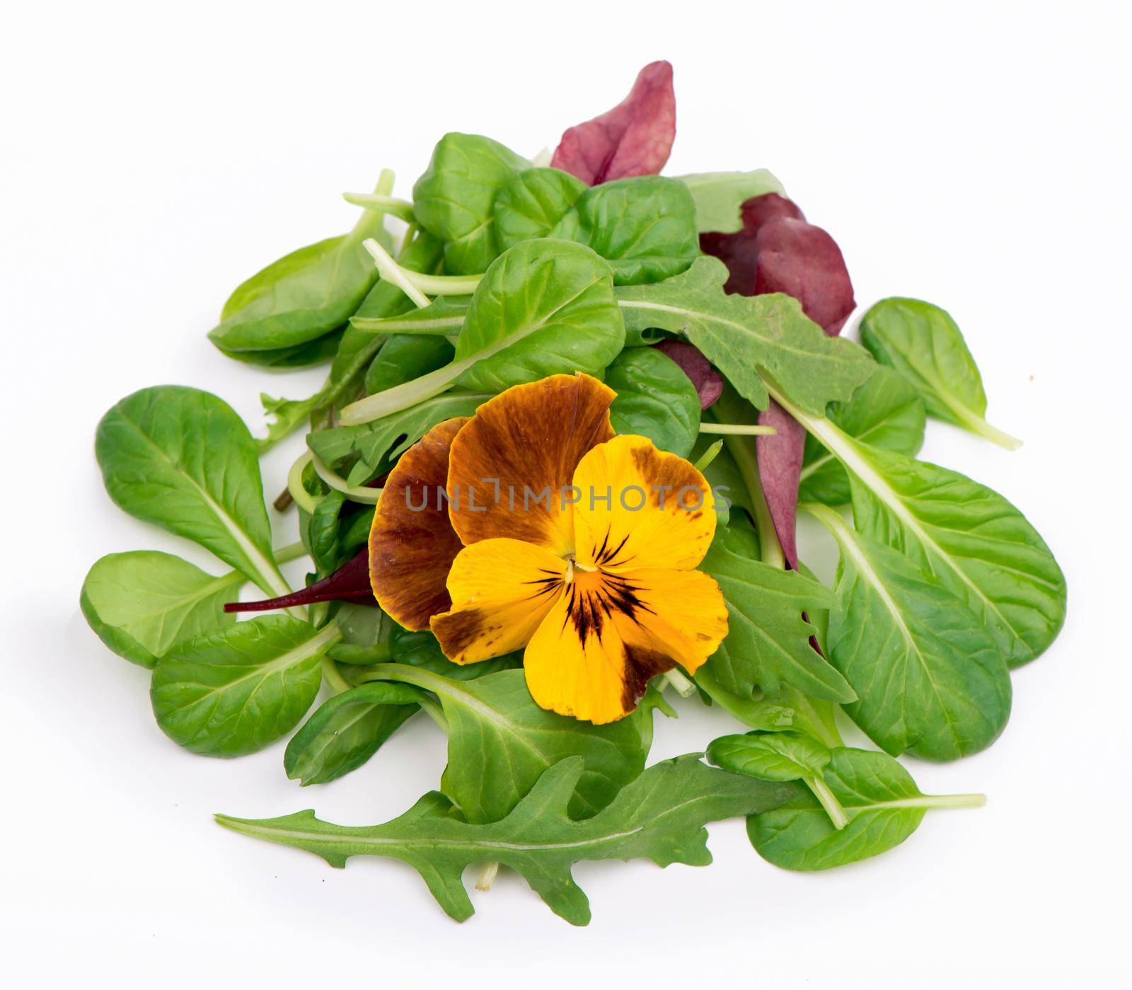 mix salad with arugula spinach salad red and edible flowers on a white background by aprilphoto