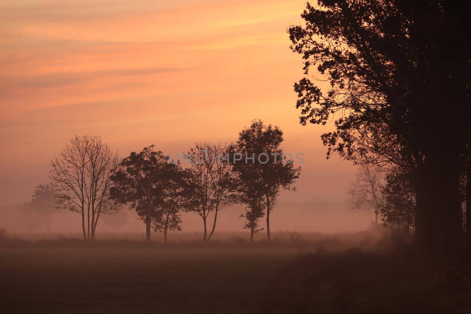 Rural landscape on an autumn morning.