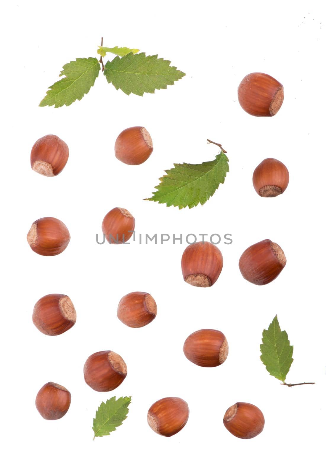 Closeup of hazelnuts, isolated on the white background, clipping path included.