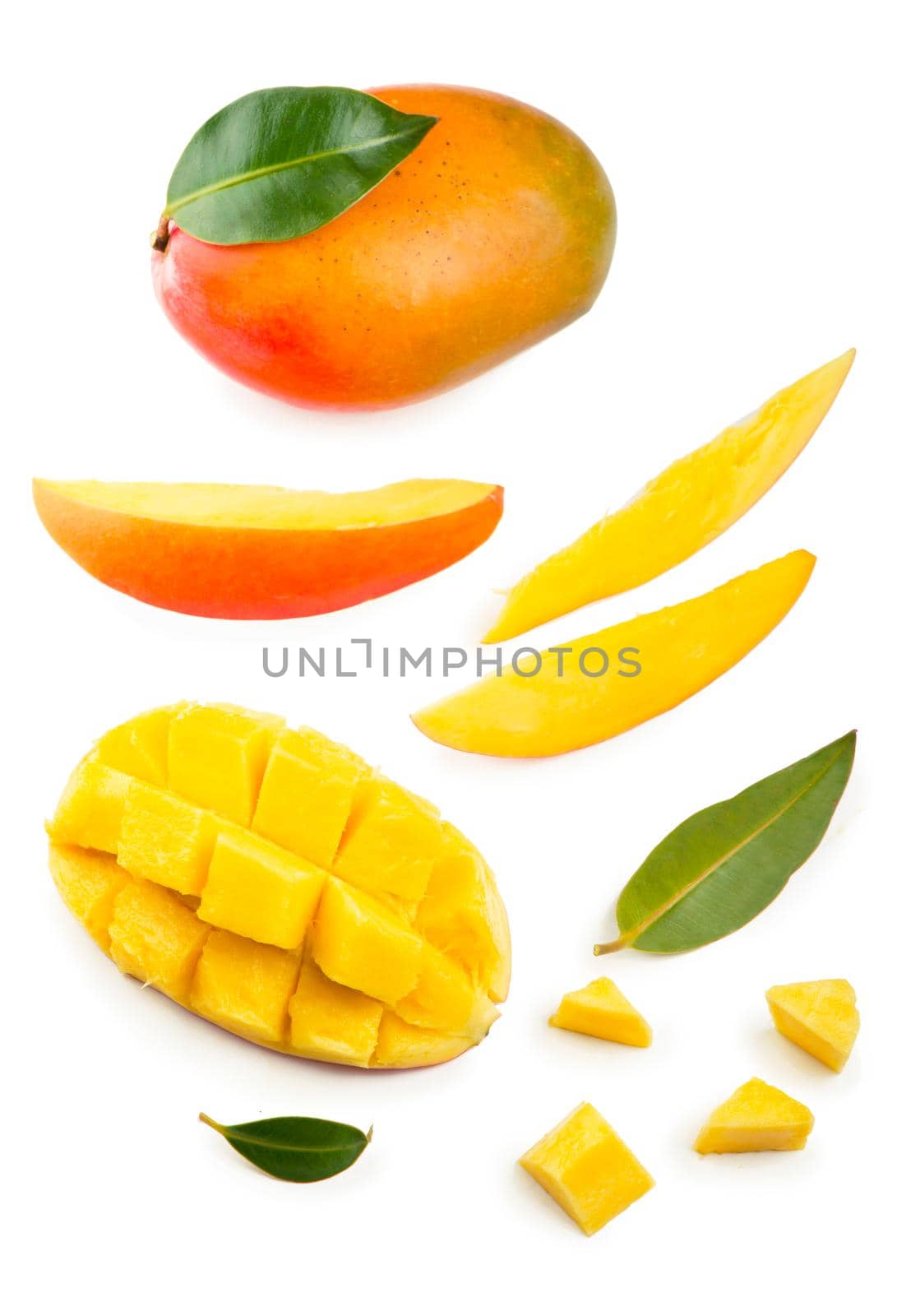 Mango leaf isolated on white background Clipping Path by aprilphoto