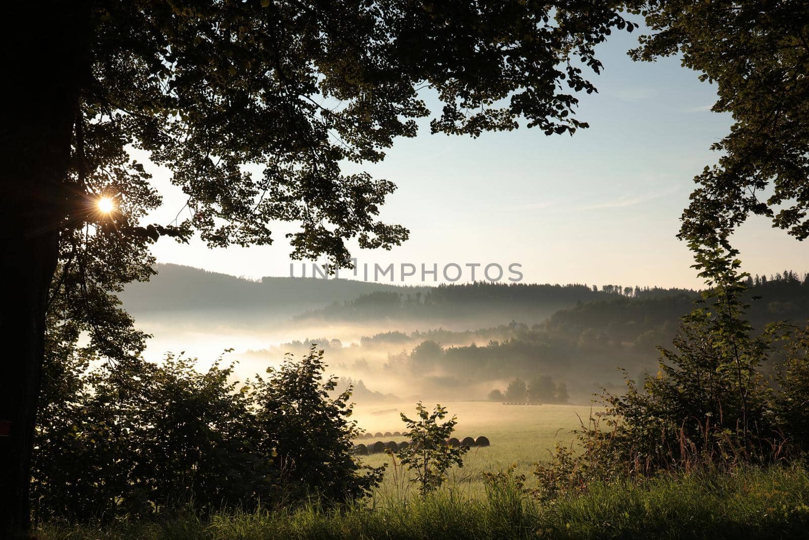 Rural landscape on a misty summer morning.