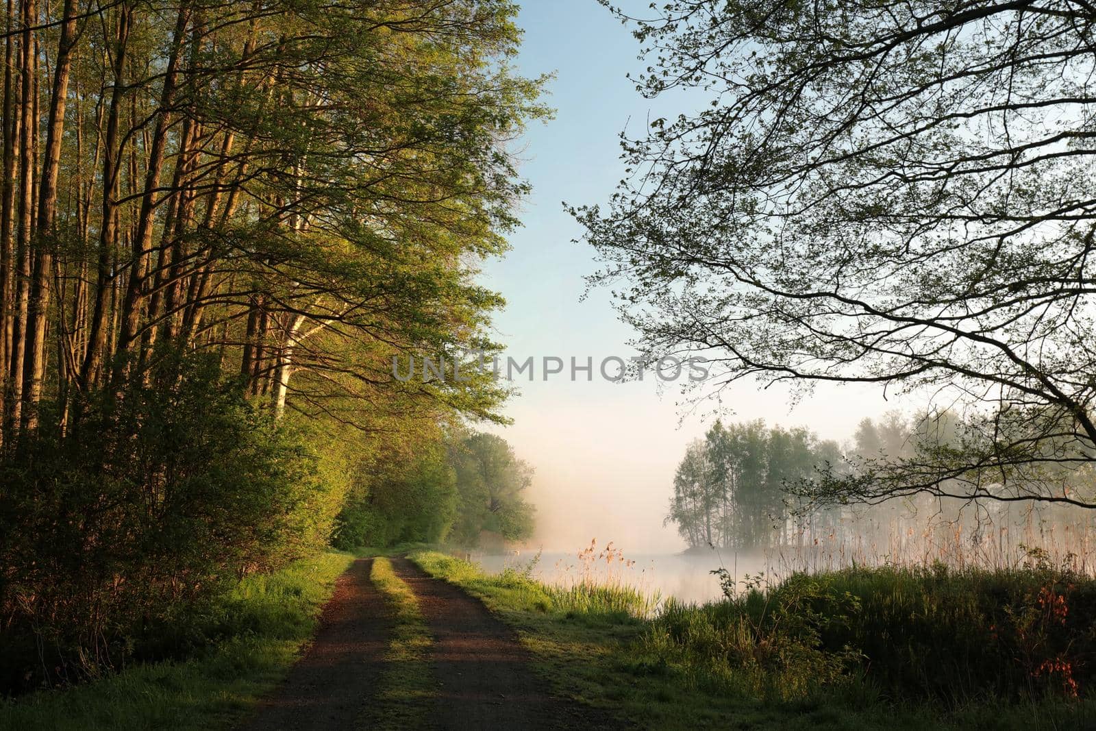 Country road on the edge of the lake during sunrise.
