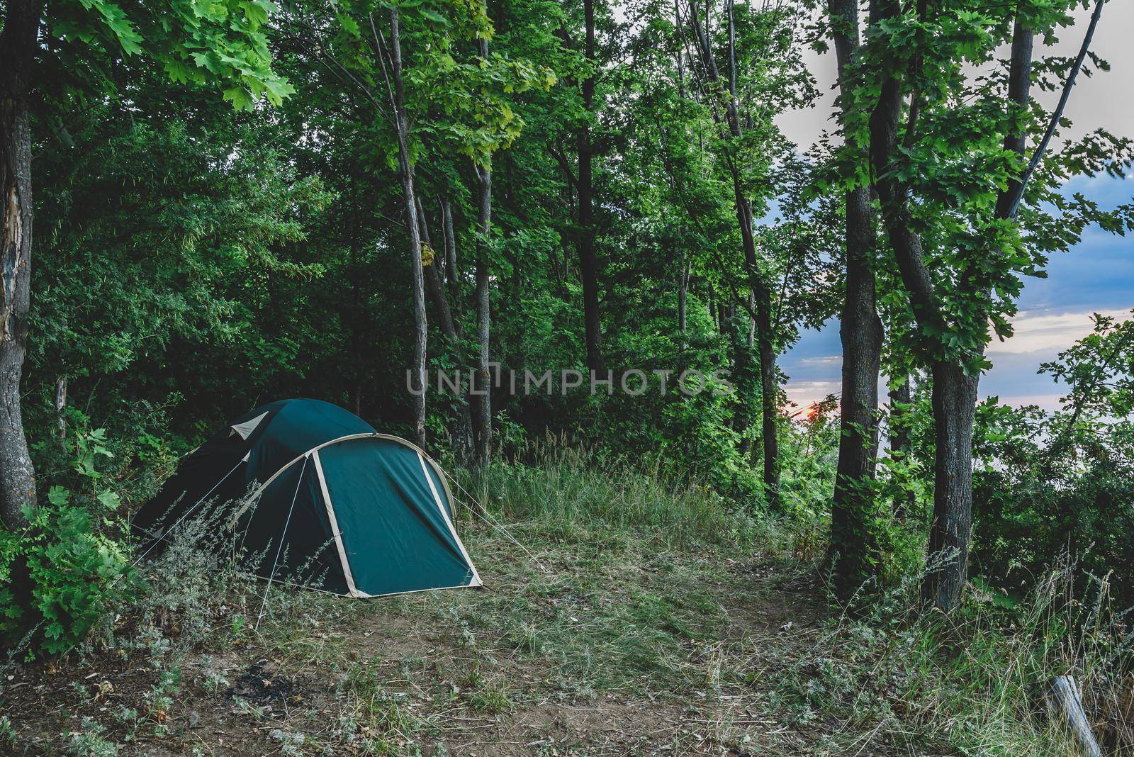 Camping in woods by Seva_blsv