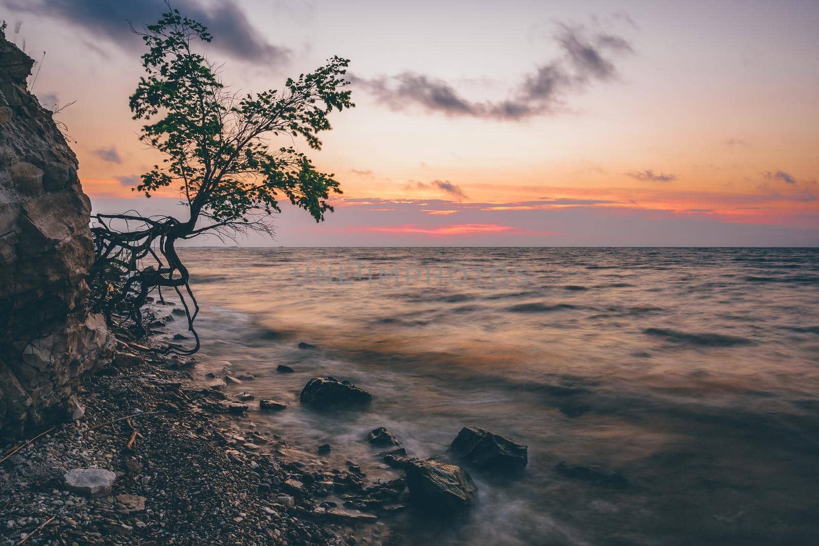 Single tree on the rocky shore at summer sunrise