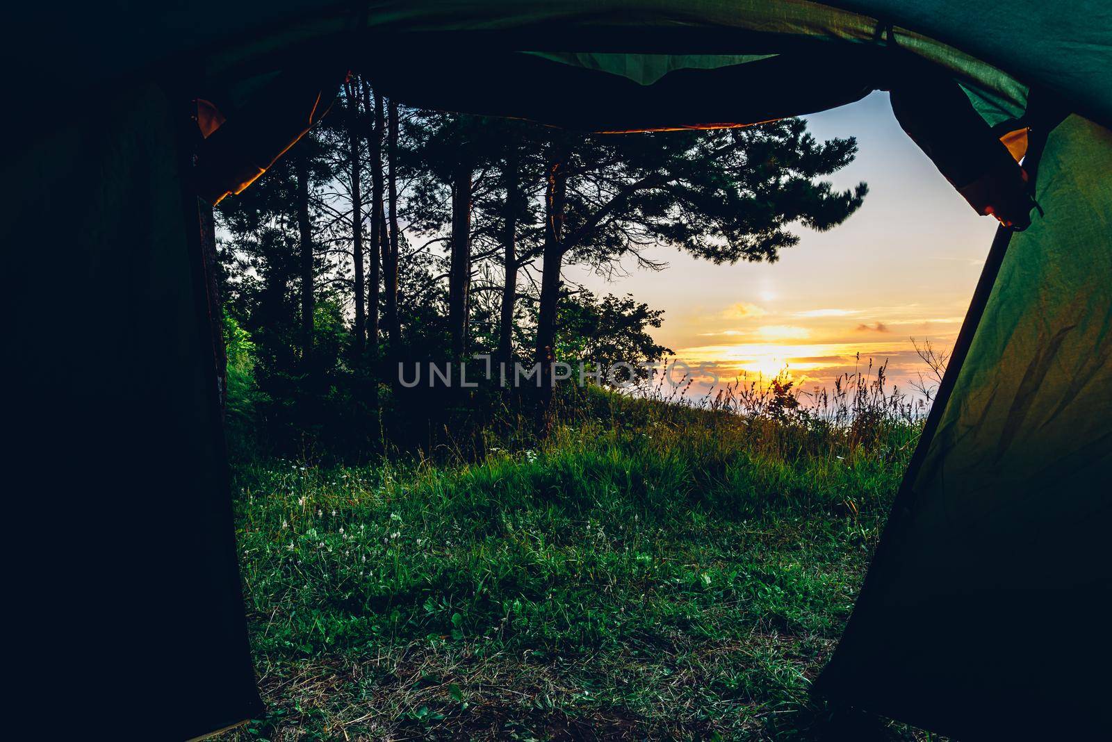 A view from inside a tent after waking up in the forest on Volga river