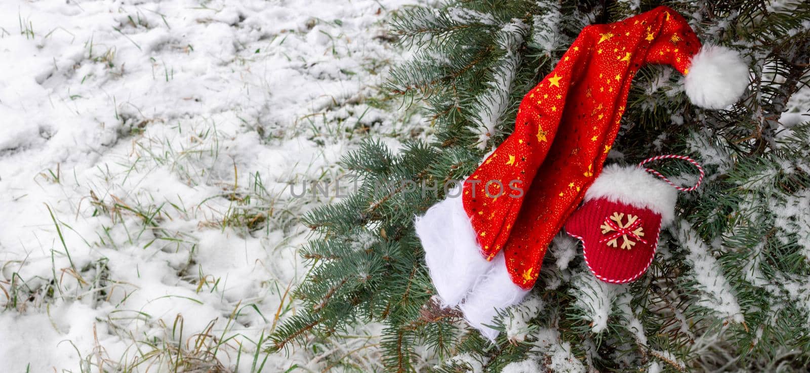 Santa Claus hat and a small red mitten lie on a snow-covered fir tree. Space for your text.