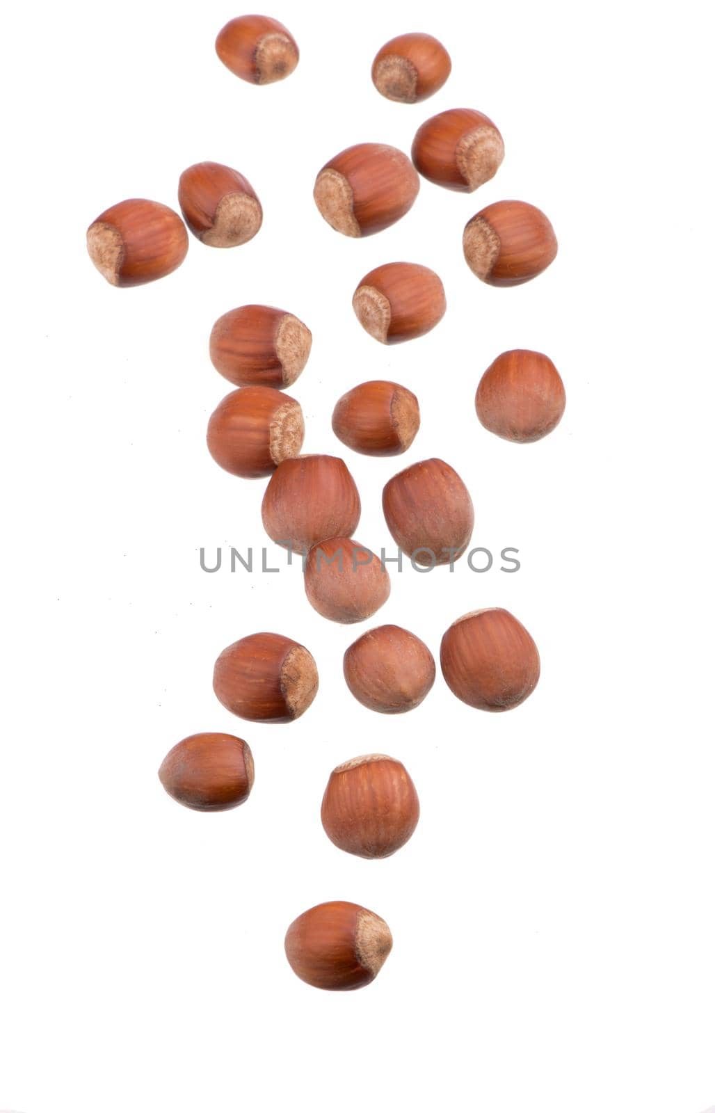 Closeup of hazelnuts, isolated on the white background by aprilphoto