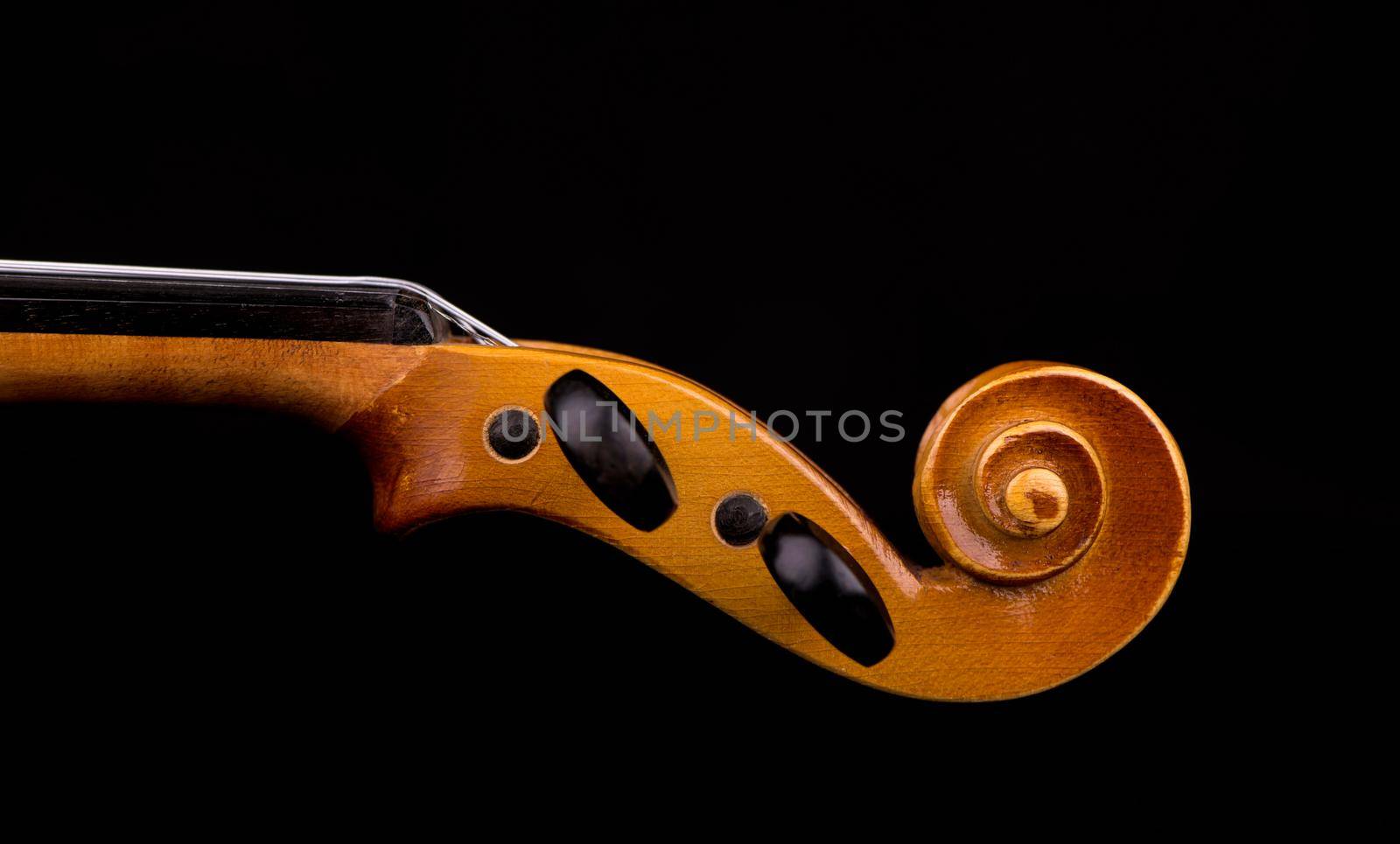 Details of violin head closeup isolated on black by aprilphoto