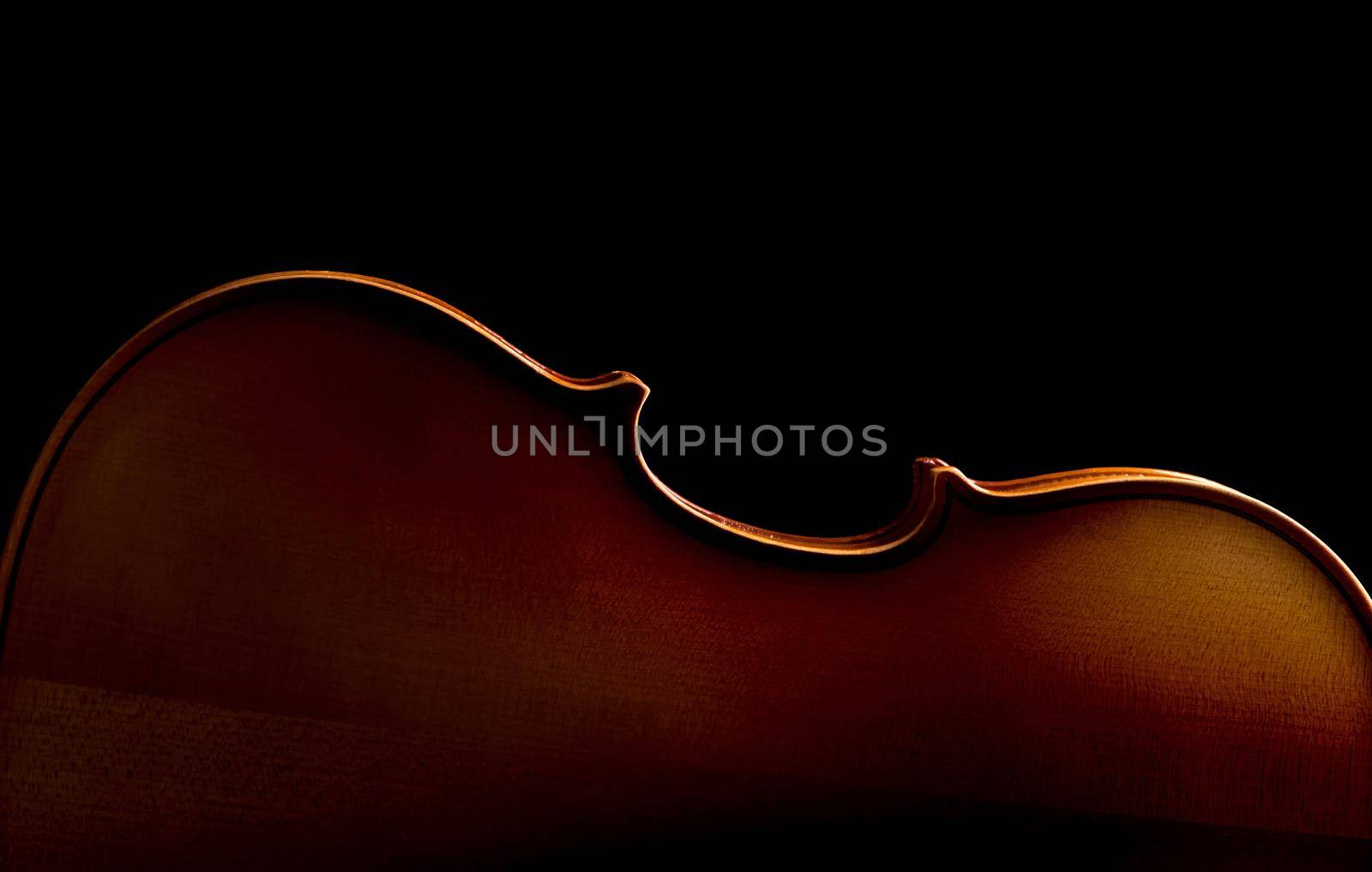Violin music instrument of orchestra closeup isolated on black