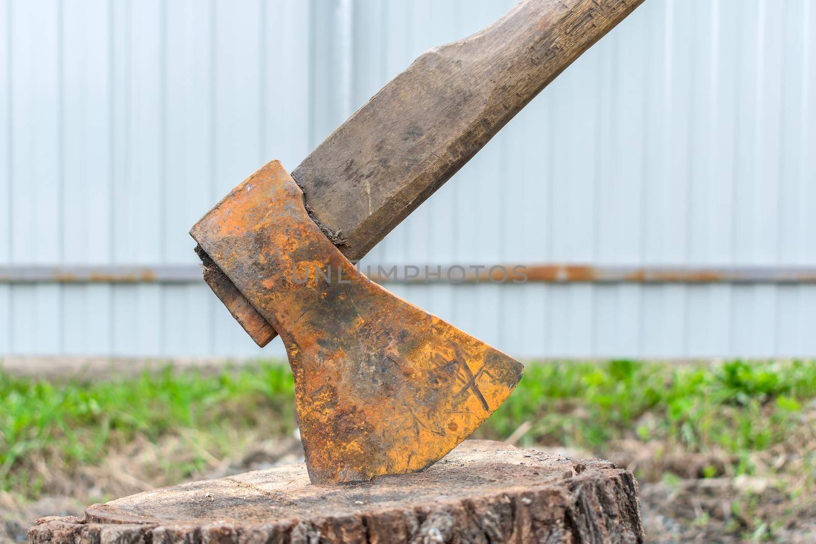 An old and rusty ax sticks out of an old tree stump