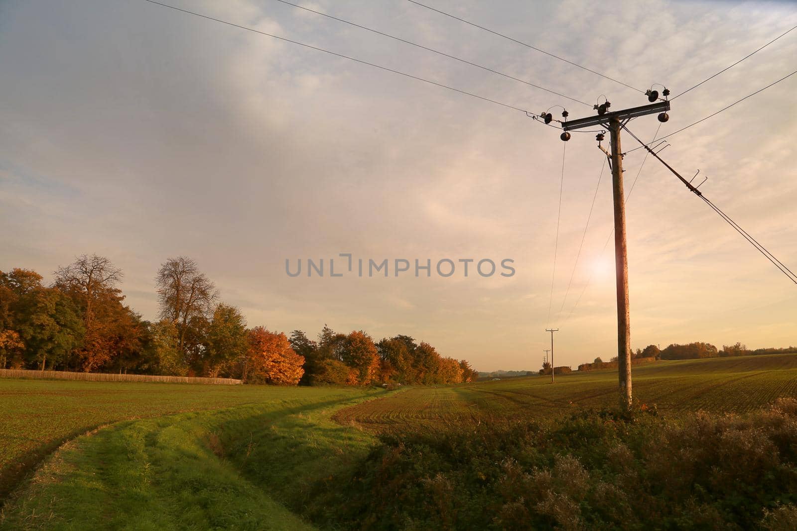 Autumn filed during sunset. Beautiful rural landscape with path, autumn in the UK
