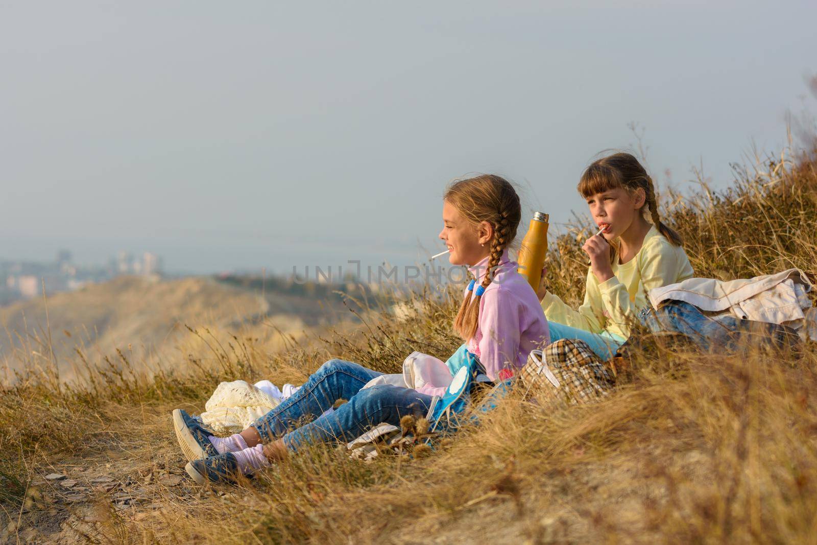 Children on a picnic drink water and eat sweets