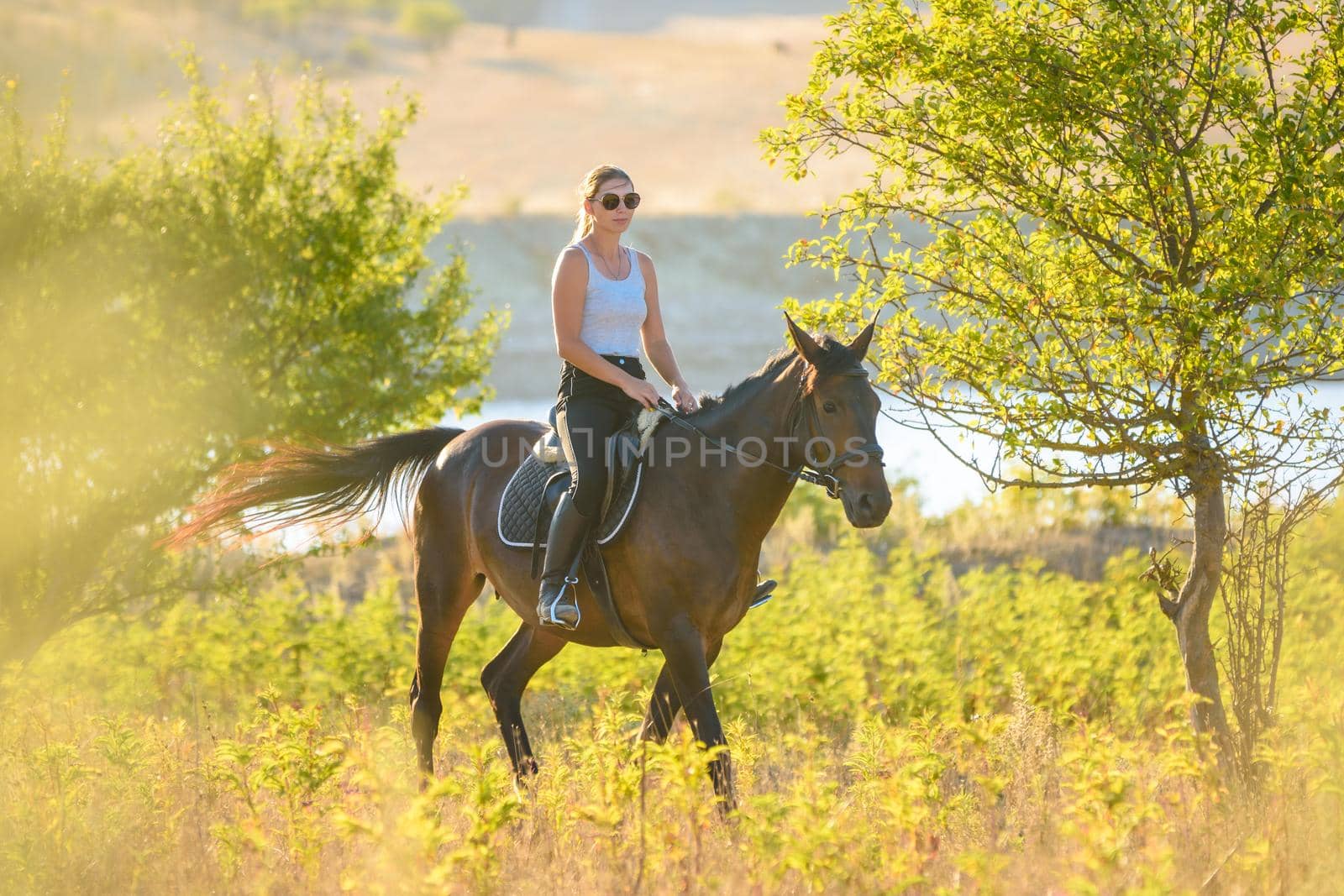A girl rides a horse on a warm autumn day