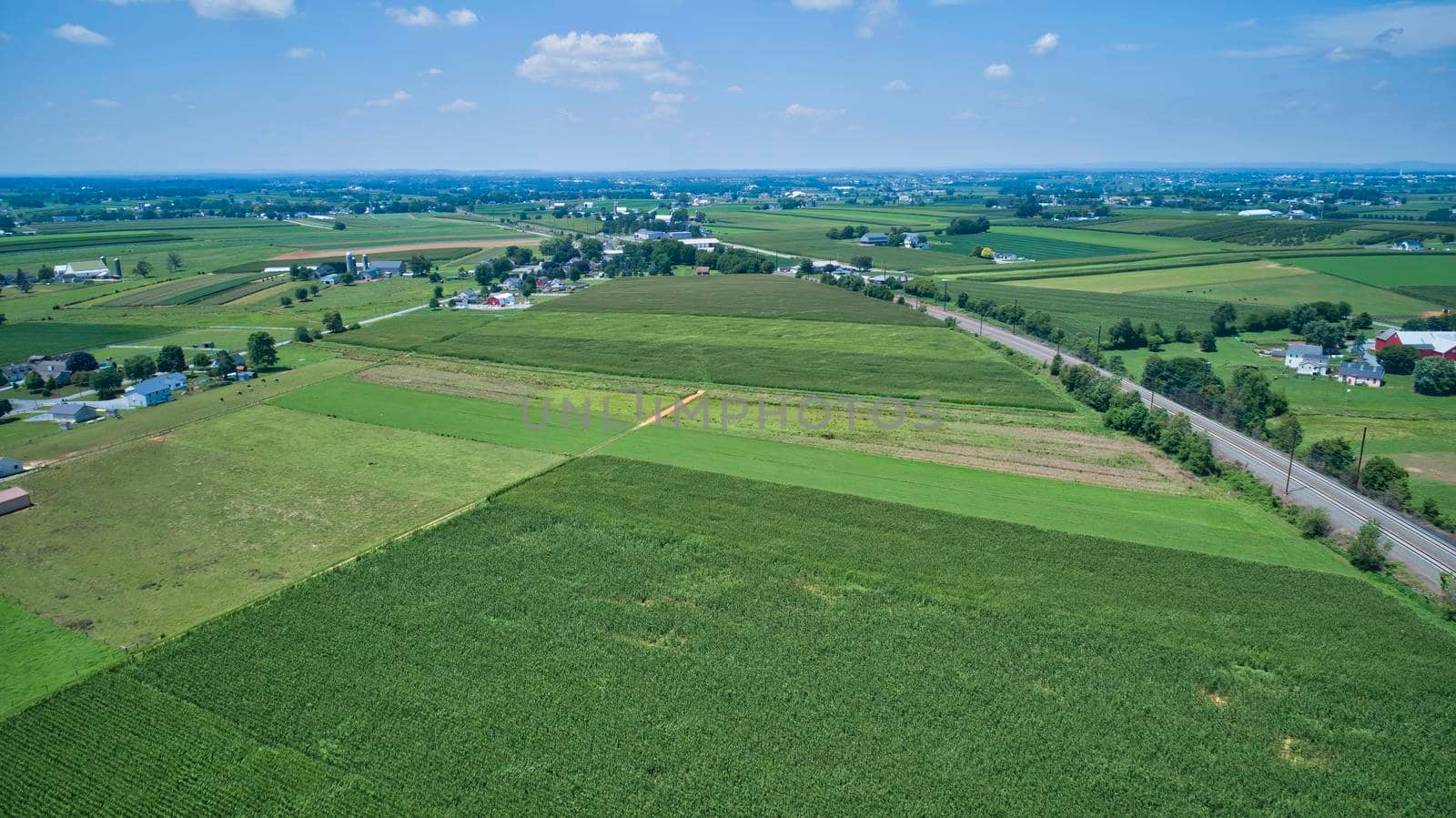 Aerial View for Rows of Corn Growing and Farms under a Beautiful Summer Sky