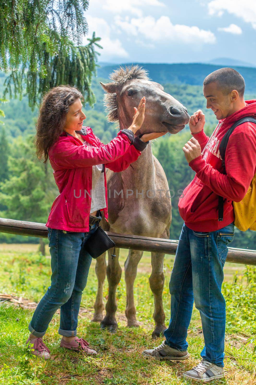Couple petting the horse over wooden fence in highlands farmland by Try_my_best