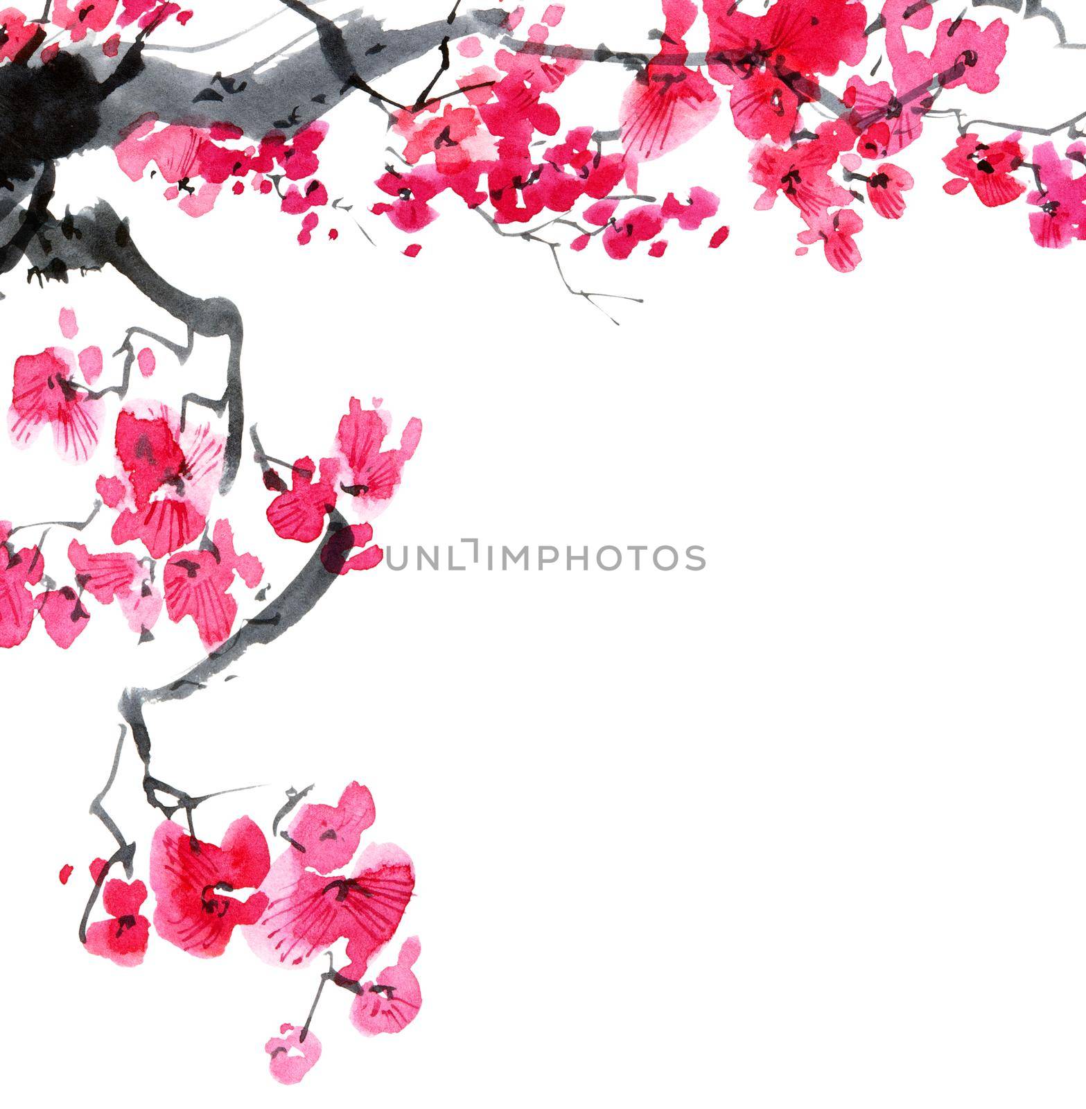 Watercolor and ink illustration of blossom sakura tree with pink flowers and buds. Oriental traditional painting in style sumi-e, u-sin and gohua.