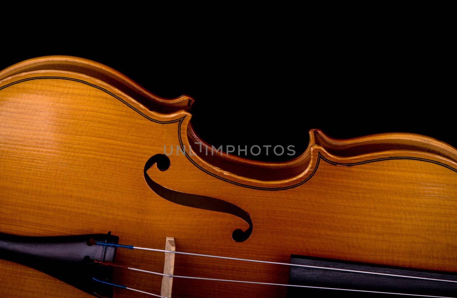 Violin music instrument closeup isolated on black by aprilphoto