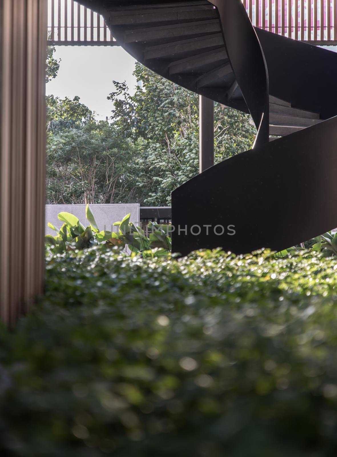 Green Bush on foreground of a spiral staircase pattern. Spiral stairs circle in courtyard architecture. Outdoor ladder decoration. Selective focus.