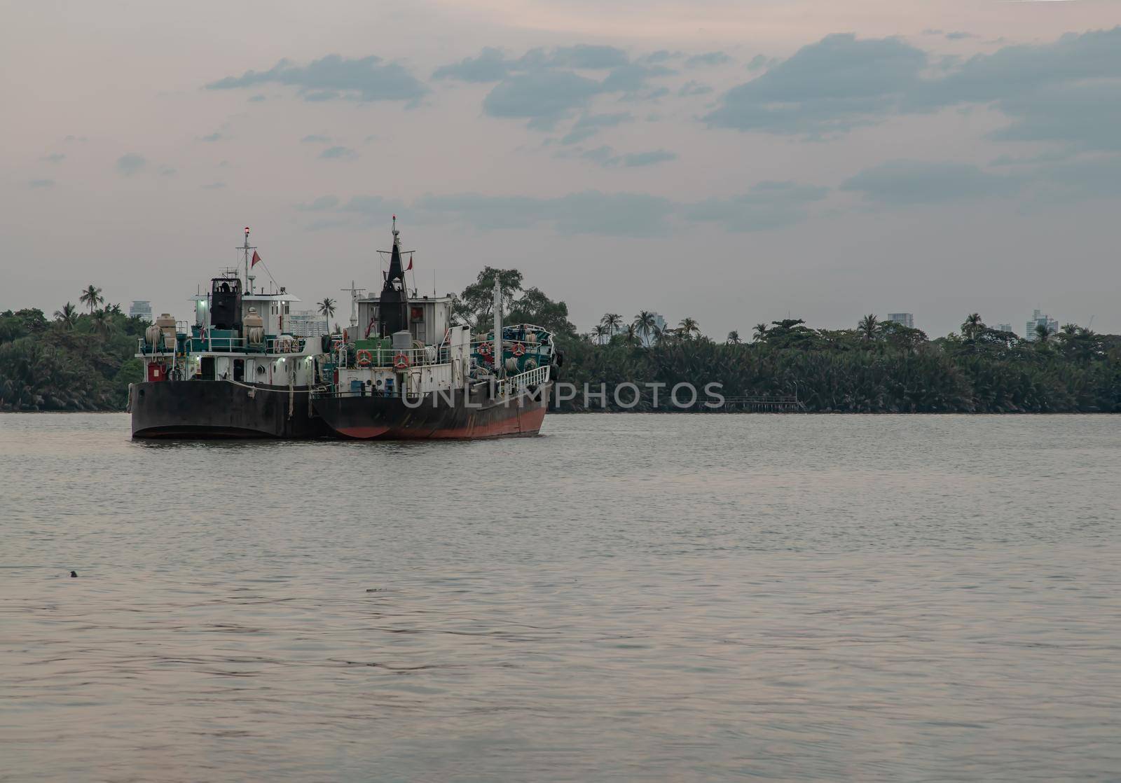 Bangkok, Thailand - 04 Jan 2021 : Two cargo ship parked in the middle of the Chao Phraya River at evening with green forest and sky at the background. Selective focus.