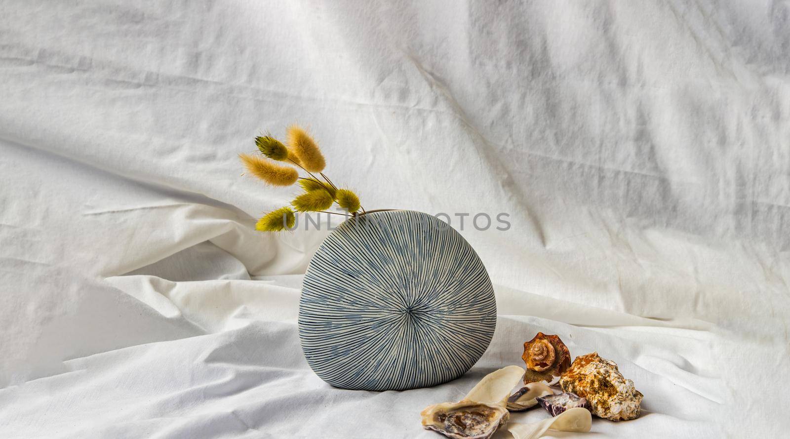 Dried flowers in Handmade Ceramic Vase and Shells on White background. Home decor, Space for text.