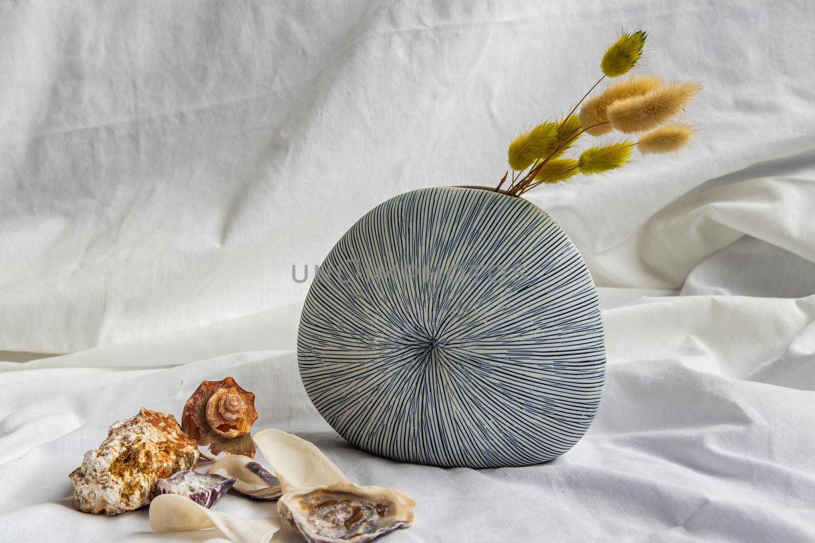 Dried flowers in Handmade Ceramic Vase and Shells on White background. Home decor, Space for text.