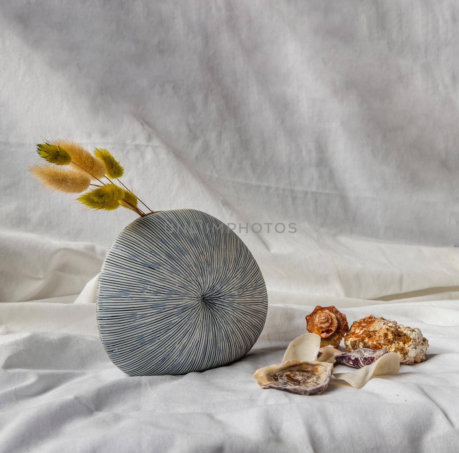 Dried flowers in Handmade Ceramic Vase and Shells on White background. Home decor, Space for text.
