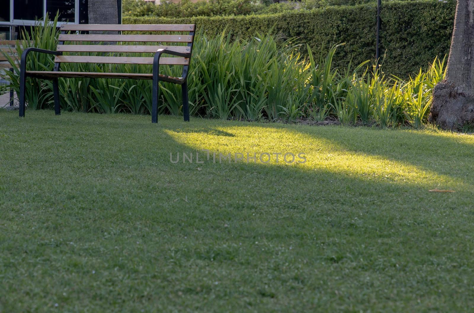 Wooden benches on grass floor in a shady area of the park. Seating and unwind area. Selective focus.