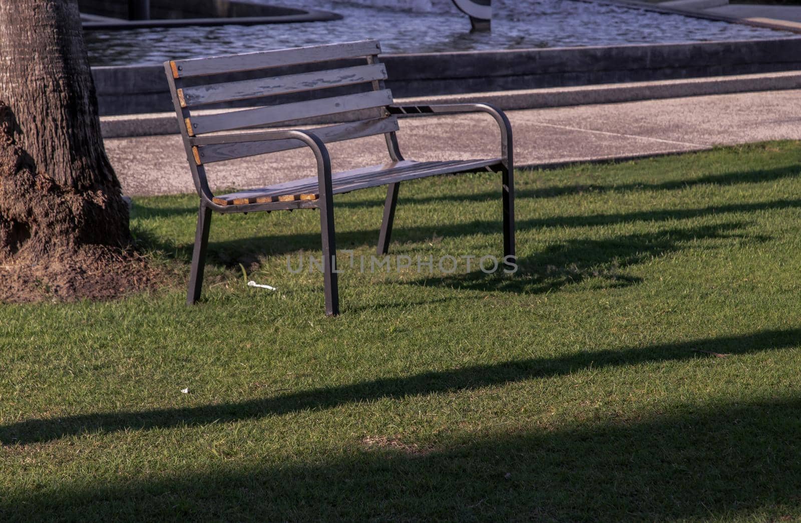 Wooden benches on grass floor in a shady area of the park. Seating and unwind area. No focus, specifically.