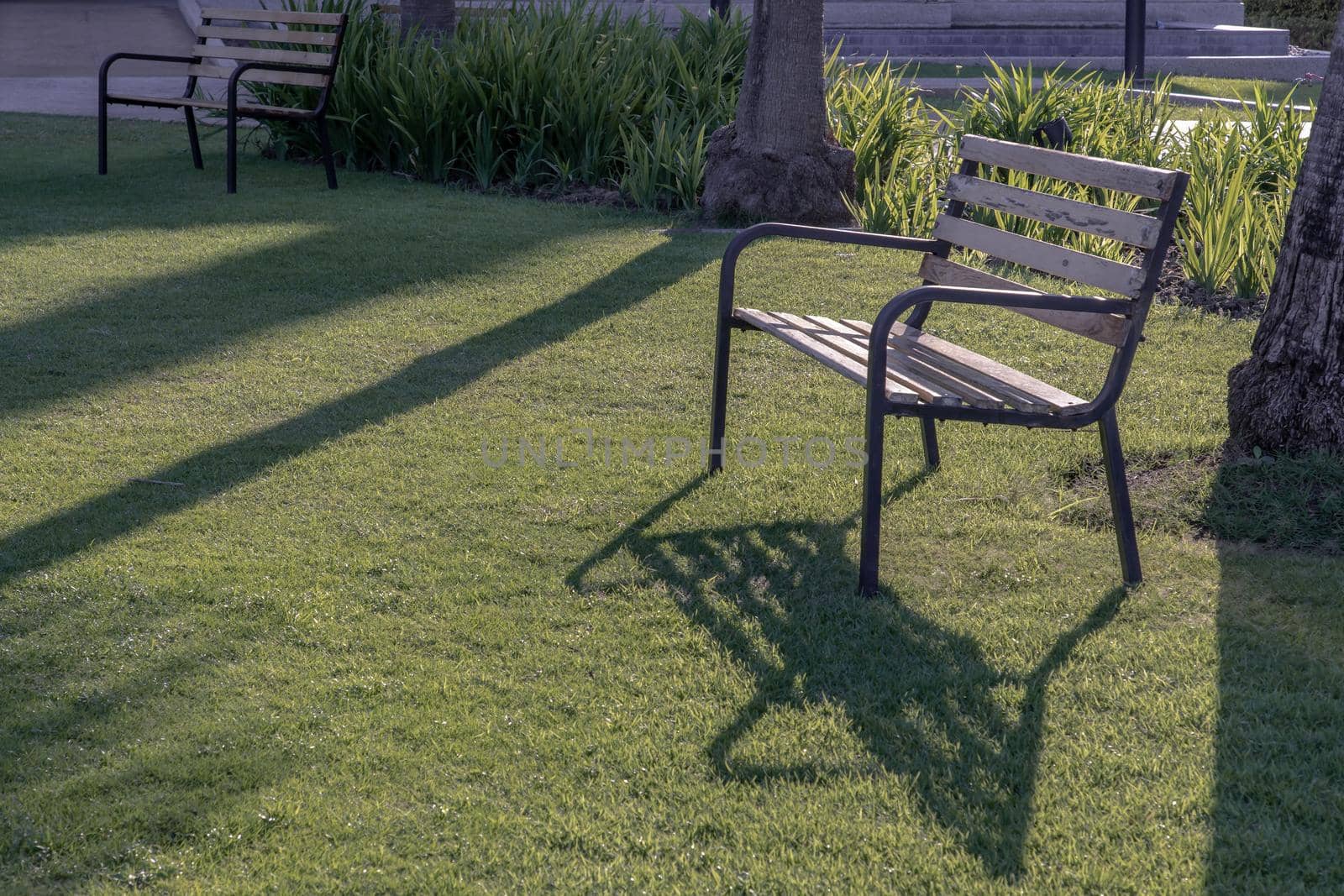 Wooden benches on grass floor in a shady area of the park. Seating and unwind area. Selective focus.
