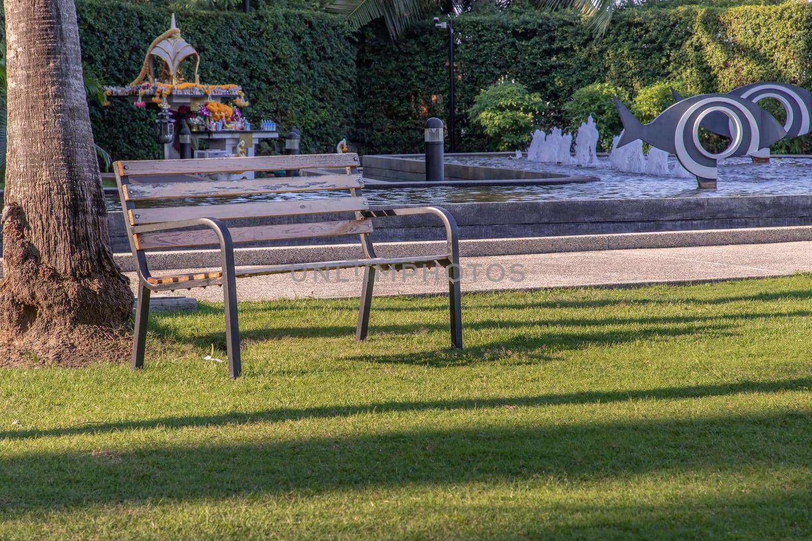 Wooden benches on grass floor in a shady area of the park. Seating and unwind area. Selective focus.
