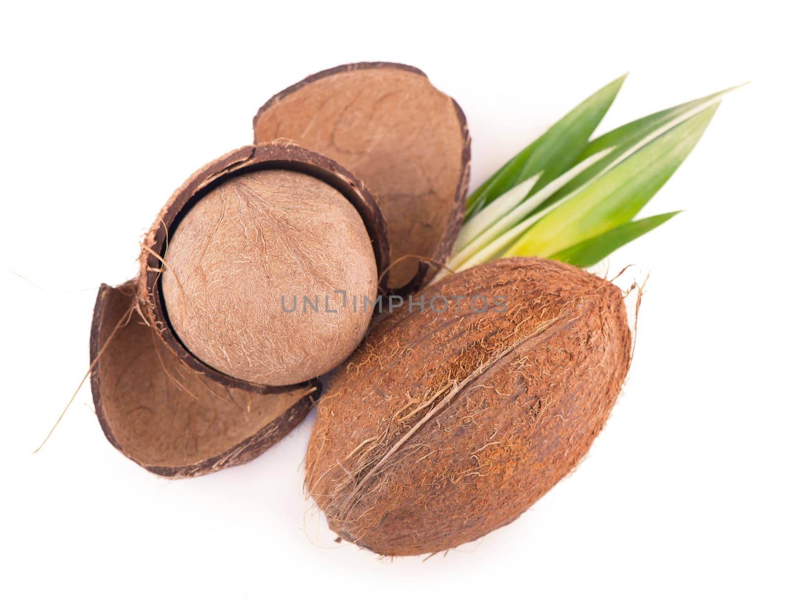 Coconuts with leaves on a white background by aprilphoto