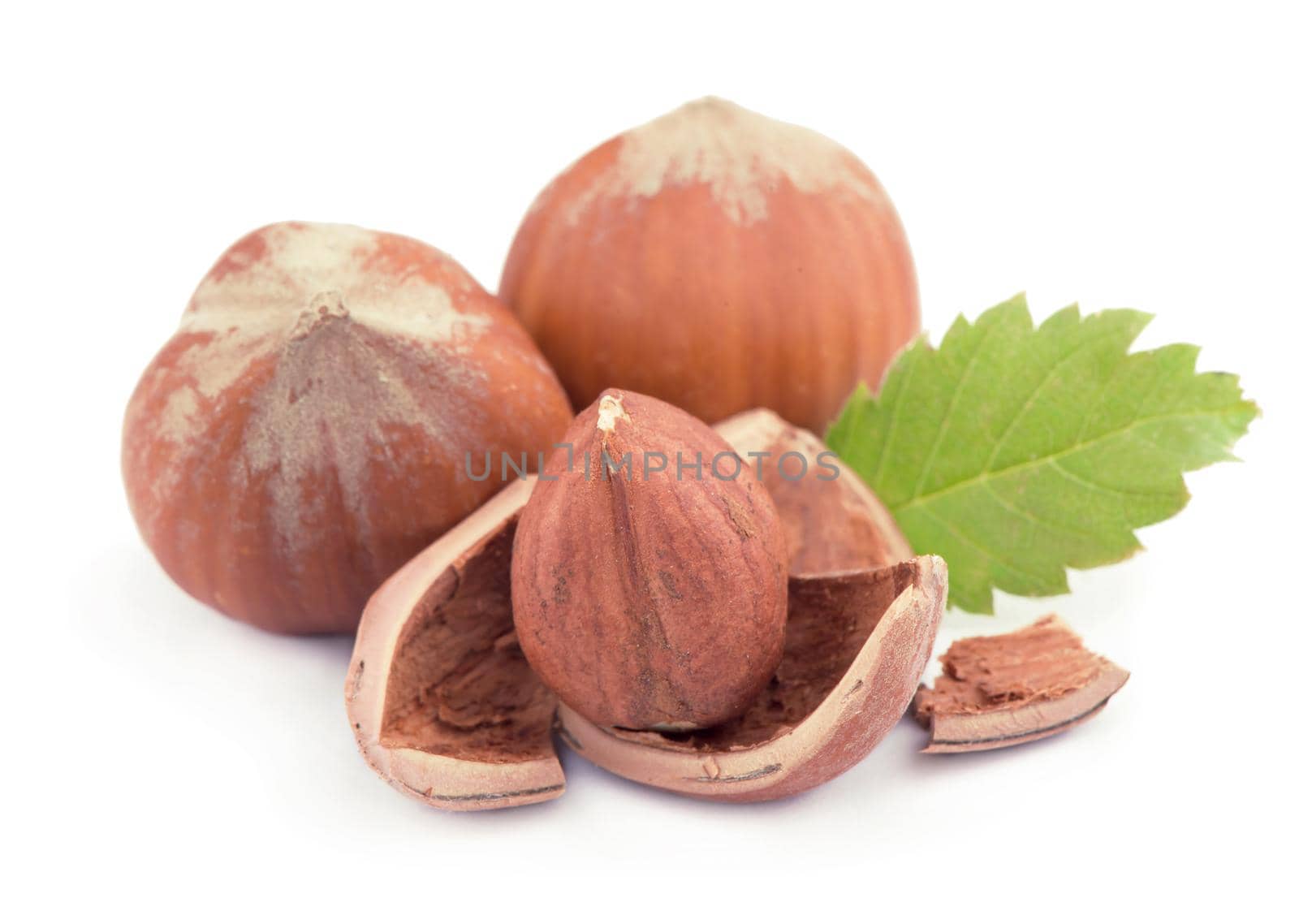 Closeup of hazelnuts, isolated on the white background by aprilphoto