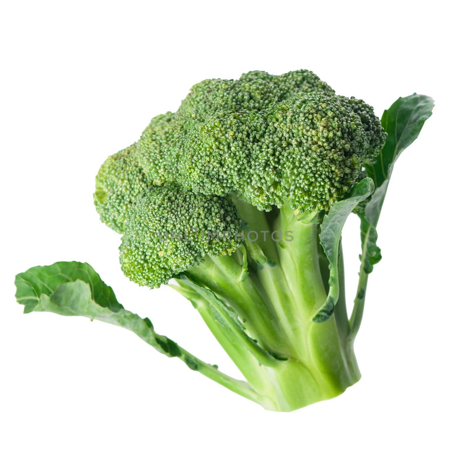 fresh green broccoli isolated on white background.