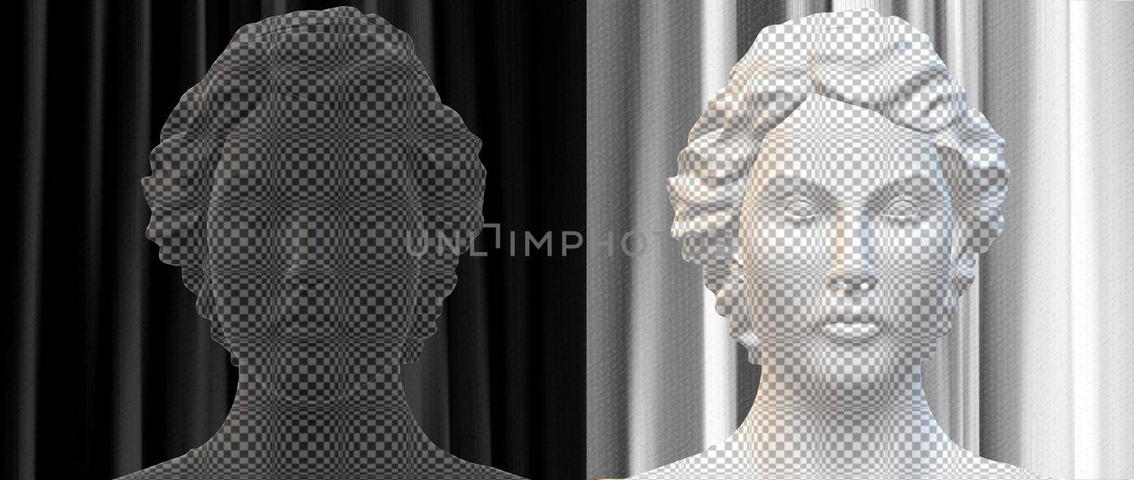 Psychology, neurology, split personality disorder and mental health concept. Bipolar mood disorder mind mental. Double face. 2 Head silhouette in white and black. Mental health. 3d illustration