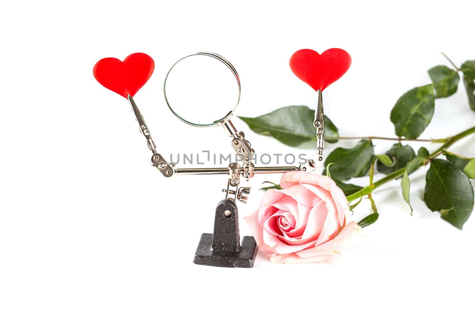 .Valentines Day background with tool third hand holding hearts and rose on white by galinasharapova